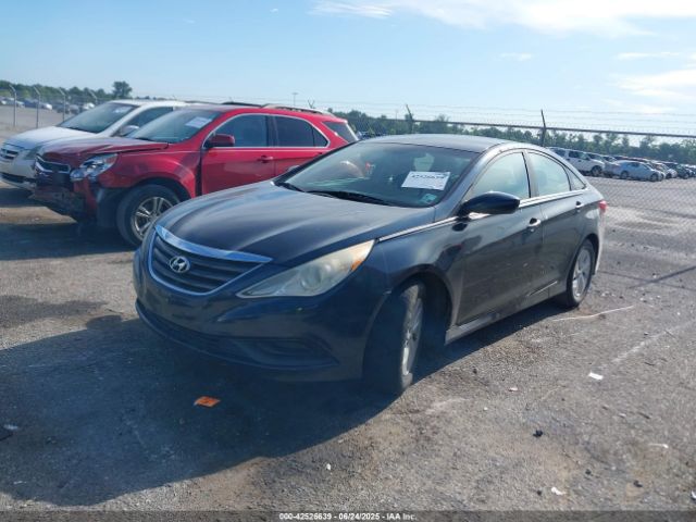 5NPEB4AC0EH909673 Hyundai gamma
