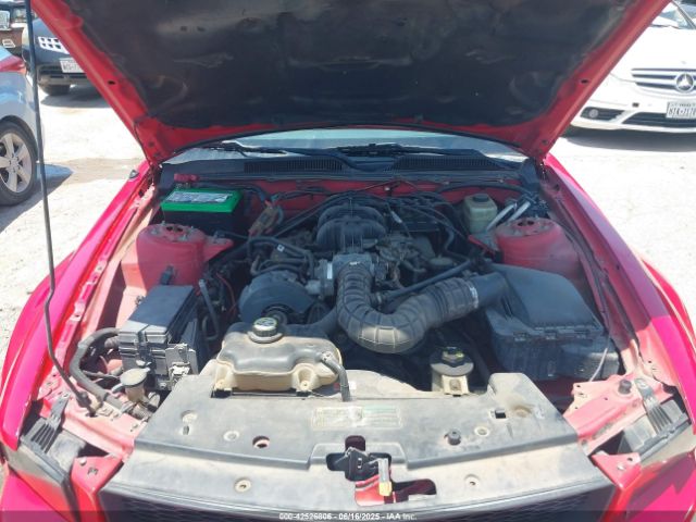 2005 FORD MUSTANG 1ZVFT80N855144821 Photo 9