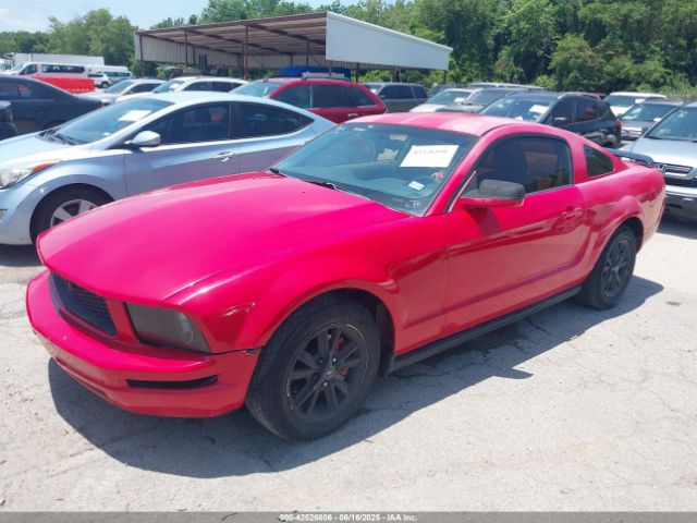 2005 FORD MUSTANG 1ZVFT80N855144821 Photo 1