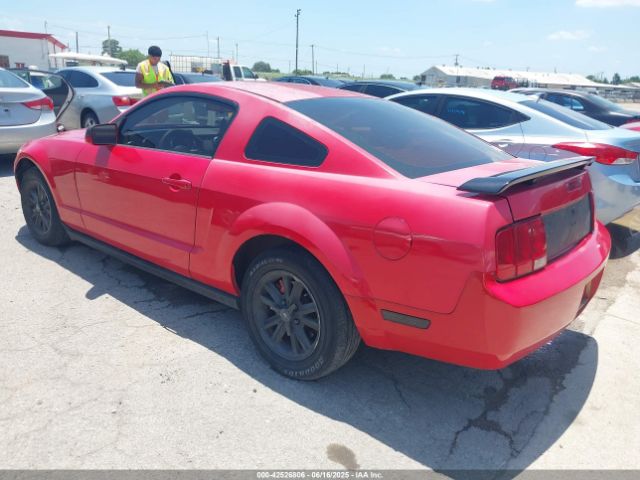 2005 FORD MUSTANG 1ZVFT80N855144821 Photo 2