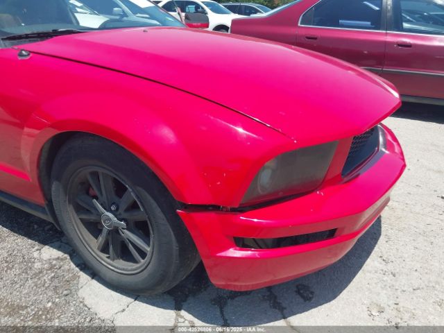 2005 FORD MUSTANG 1ZVFT80N855144821 Photo 5