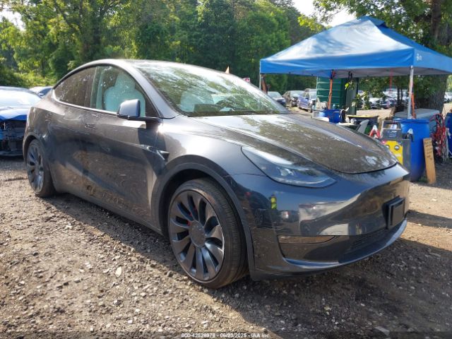 2025 TESLA MODEL Y 7SAYGDEF9SF305944
