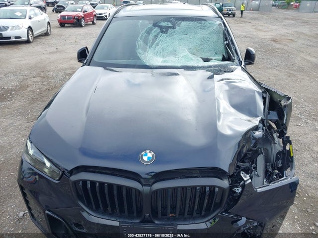 BMW 2024 2024 5UX23EU08R9W15409 Image 19