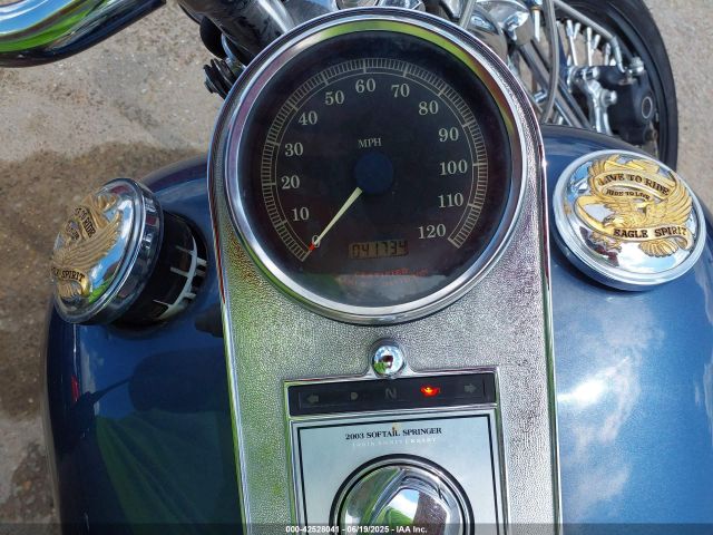 2003 HARLEY-DAVIDSON FXSTSI 1HD1BZB163Y054898 Photo 6