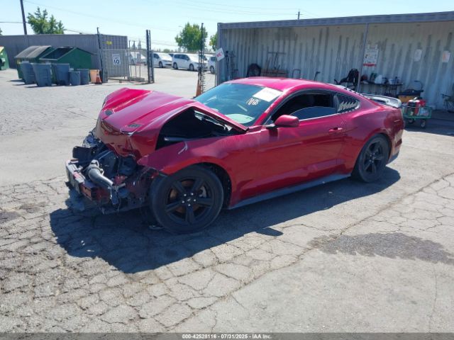 2019 FORD MUSTANG 1FA6P8THXK5118705 Photo 1