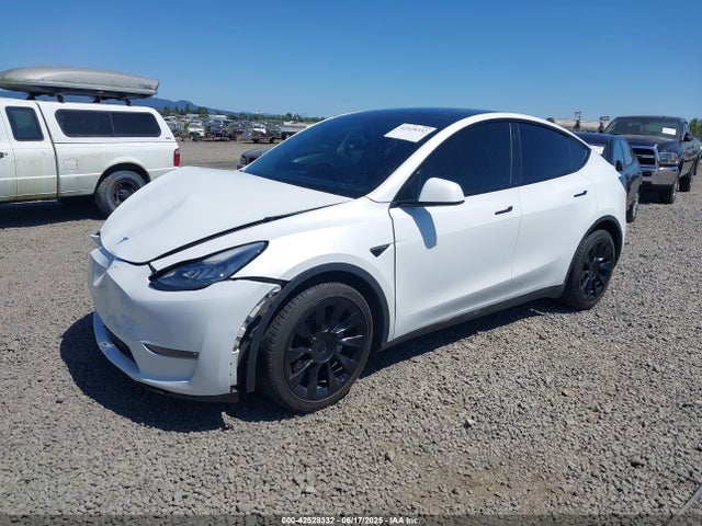 2022 TESLA MODEL Y 7SAYGDEEXNF401870 Photo 1