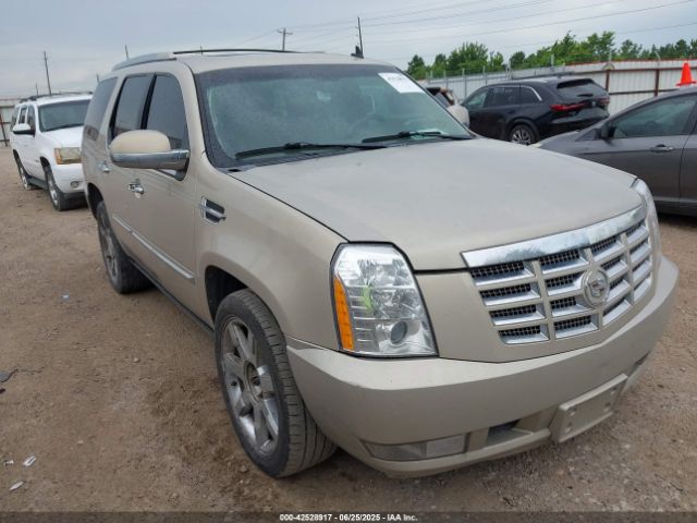 2011 CADILLAC ESCALADE 1GYS4CEFXBR346139