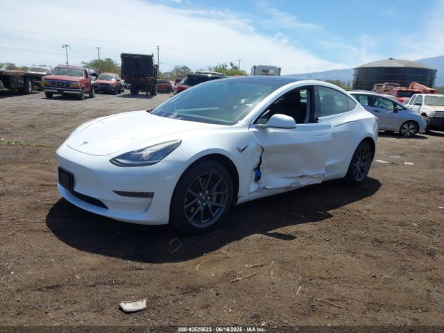 2019 TESLA MODEL 3 5YJ3E1EA3KF401407 Photo 1