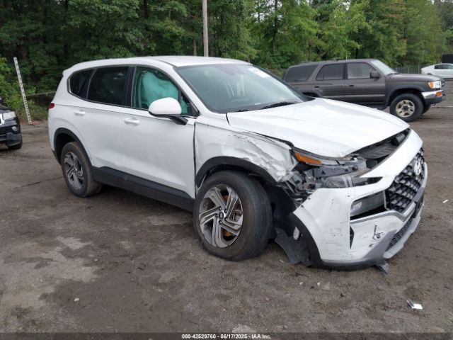 2023 HYUNDAI SANTA FE 5NMS1DAJ3PH488231
