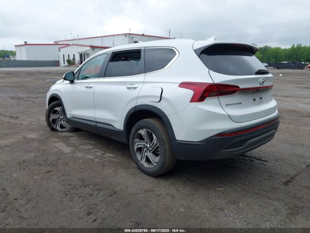 2023 HYUNDAI SANTA FE 5NMS1DAJ3PH488231 Photo 2