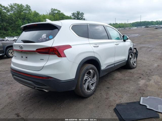 2023 HYUNDAI SANTA FE 5NMS1DAJ3PH488231 Photo 3