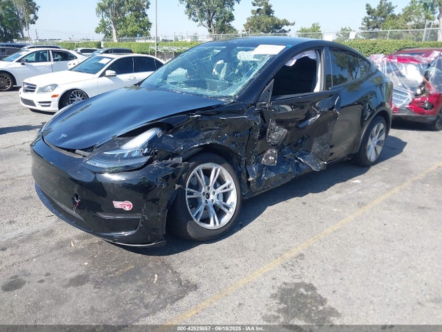 2023 TESLA MODEL Y 7SAYGDEE8PA138813 Photo 1