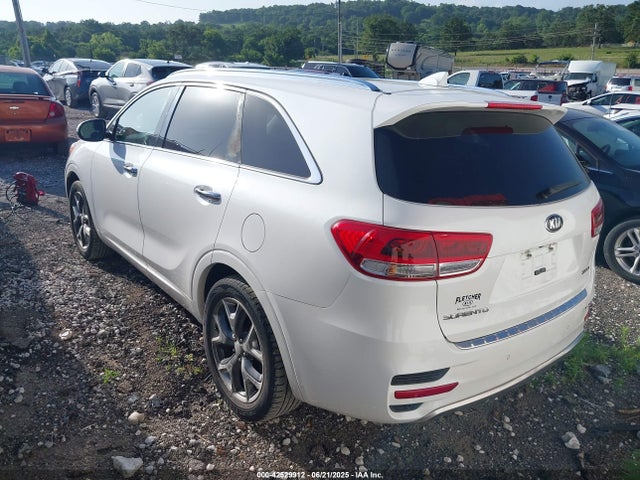 KIA dohc gdi lambda ii 2016 5XYPK4A59GG115064 Image 3