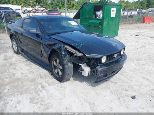 2009 FORD MUSTANG 1ZVHT80NX95137108