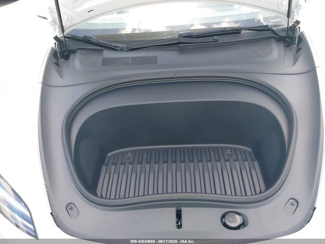 2025 TESLA MODEL 3 5YJ3E1EA7SF897151 Photo 9