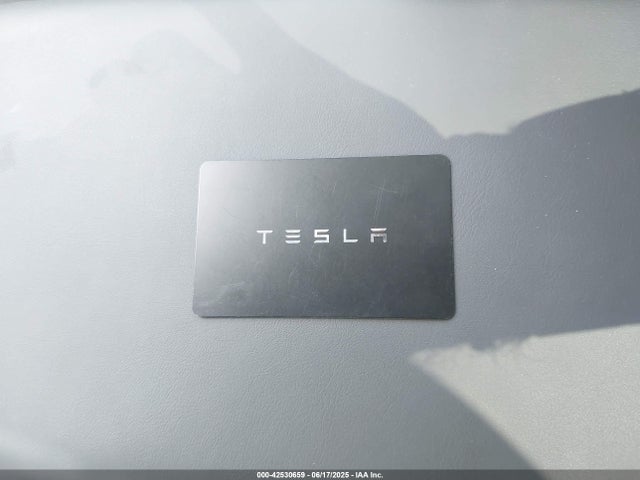 2025 TESLA MODEL 3 5YJ3E1EA7SF897151 Photo 10