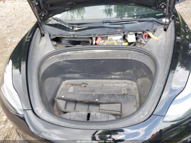 2019 TESLA MODEL 3 5YJ3E1EA0KF361870 Photo 9