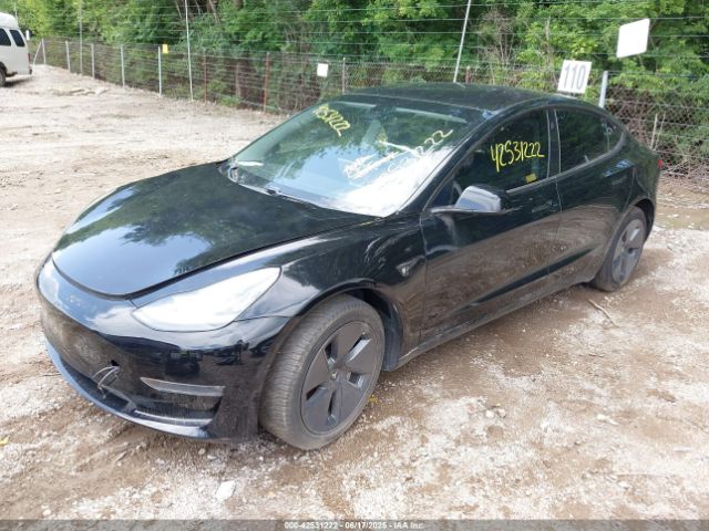2019 TESLA MODEL 3 5YJ3E1EA0KF361870 Photo 1
