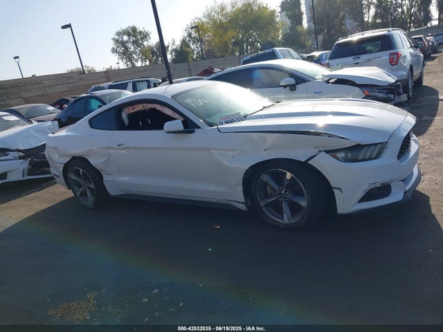 Ford 2015 2015 1FA6P8AM6F5405092 Image 14