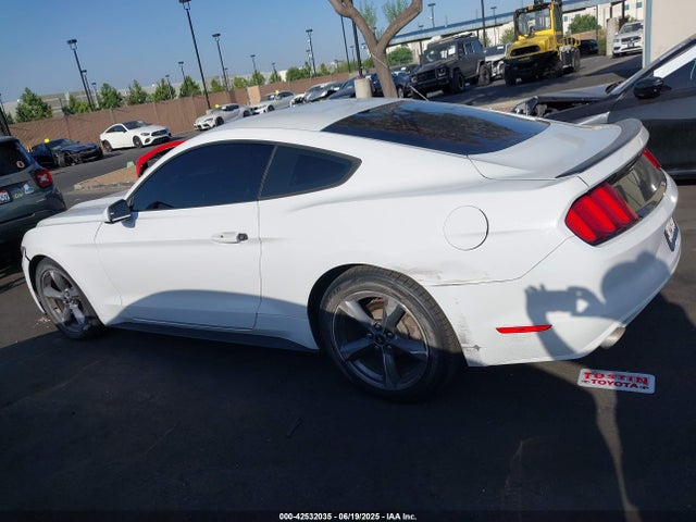 Ford 2015 2015 1FA6P8AM6F5405092 Image 15