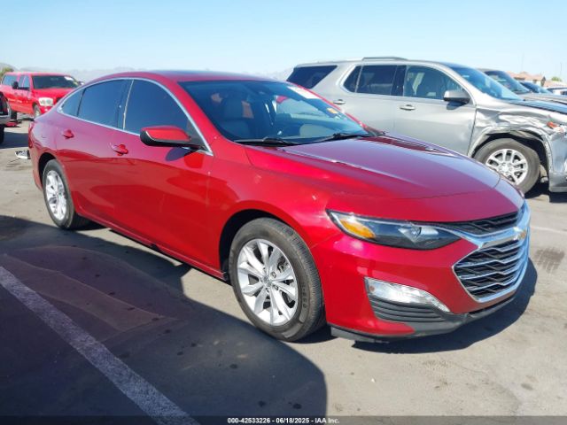 2019 CHEVROLET MALIBU 1G1ZD5ST6KF207209