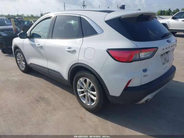 2020 FORD ESCAPE 1FMCU0G67LUA10190 Photo 2