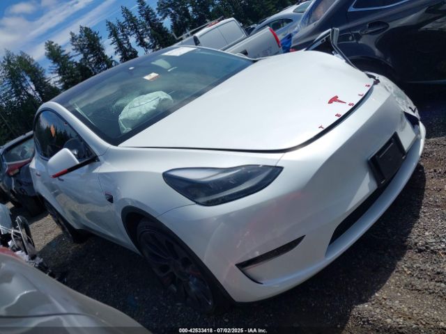 2024 TESLA MODEL Y 7SAYGDEF1RF056775