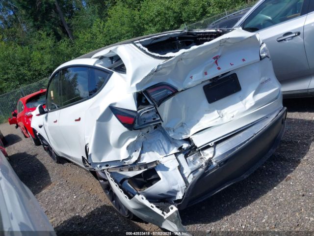 2024 TESLA MODEL Y 7SAYGDEF1RF056775 Photo 2