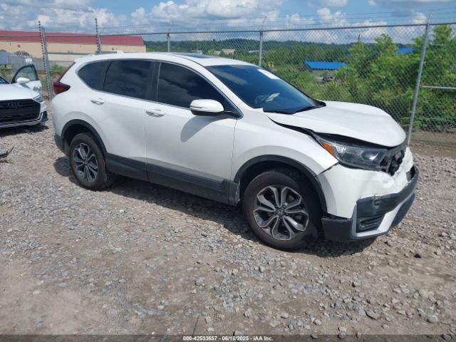 2020 HONDA CR-V 5J6RW2H50LA020632