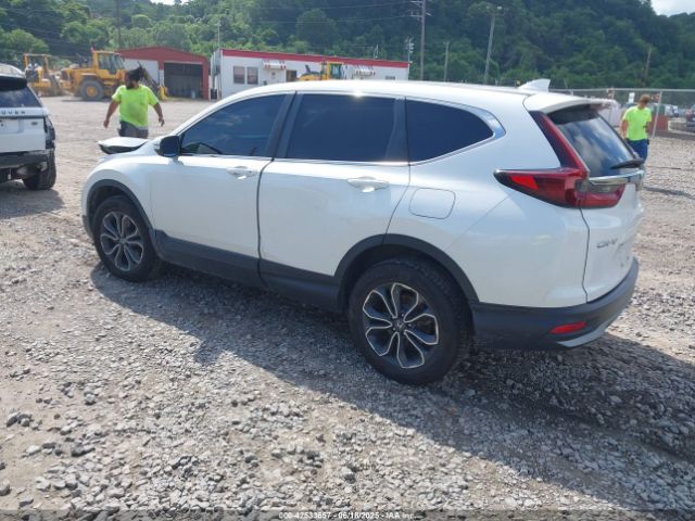 2020 HONDA CR-V 5J6RW2H50LA020632 Photo 2
