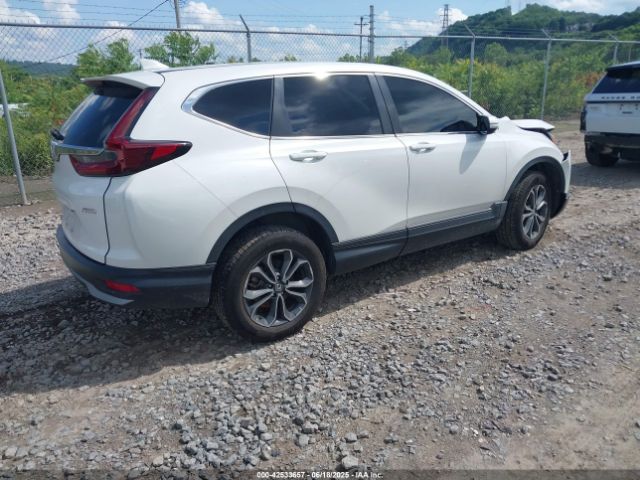 2020 HONDA CR-V 5J6RW2H50LA020632 Photo 3