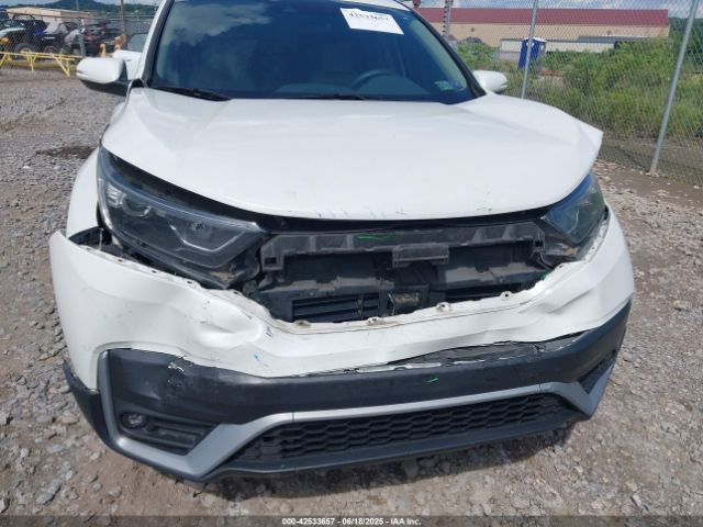 2020 HONDA CR-V 5J6RW2H50LA020632 Photo 5