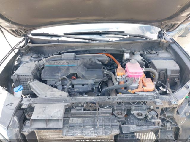 2023 HYUNDAI TUCSON HYBRID KM8JFCA13PU129277 Photo 9