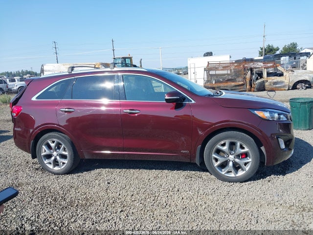 KIA Sorento 2017 5XYPKDA5XHG307983 Image 13
