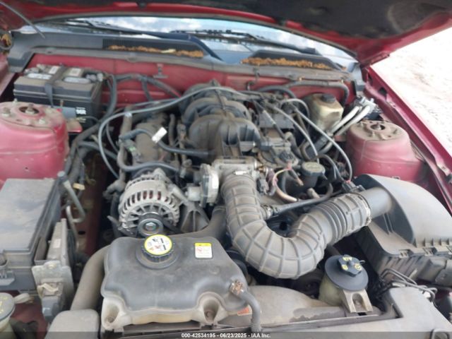2007 FORD MUSTANG 1ZVHT80N875237169 Photo 9