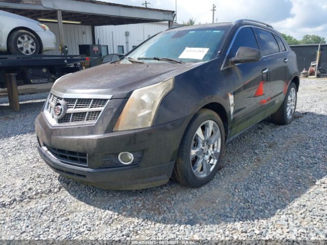 2011 CADILLAC SRX 3GYFNCEY4BS516721 Photo 1