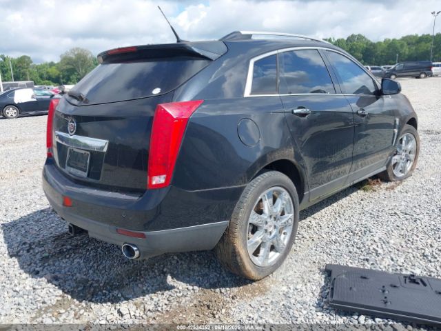 2011 CADILLAC SRX 3GYFNCEY4BS516721 Photo 3
