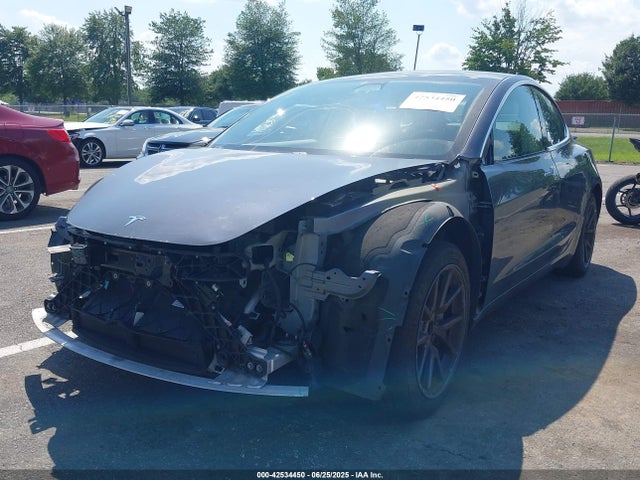 Tesla MODEL 3 2020 5YJ3E1EA9LF796744 Image 2