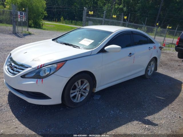 5NPEB4AC1EH846017 Hyundai gamma