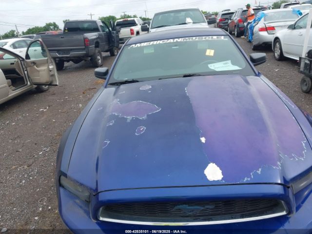 2014 FORD MUSTANG 1ZVBP8AM7E5267695 Photo 5