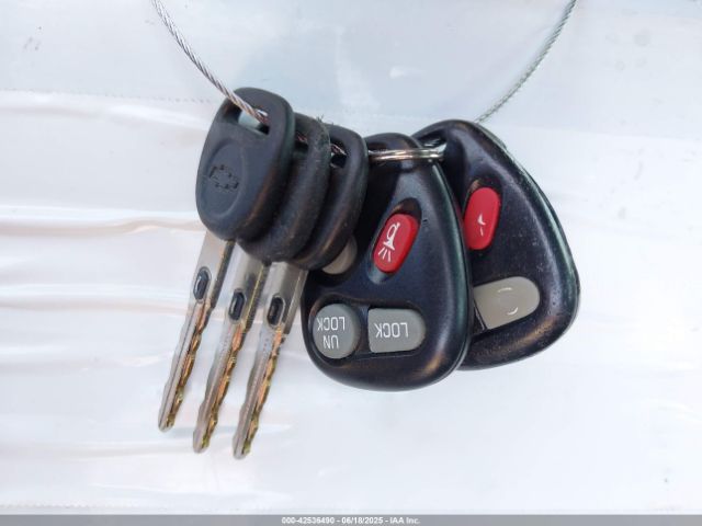 2004 CHEVROLET CORVETTE 1G1YY22G945133407 Photo 10