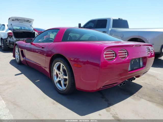 2004 CHEVROLET CORVETTE 1G1YY22G945133407 Photo 2
