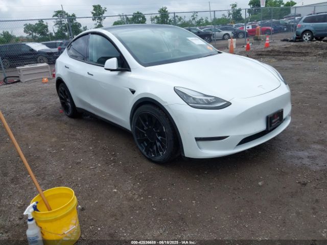 2021 TESLA MODEL Y 5YJYGDEE8MF068886
