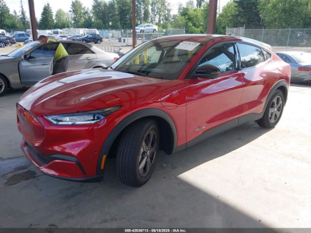 2023 FORD MUSTANG MACH-E 3FMTK1SS6PMA17612 Photo 1