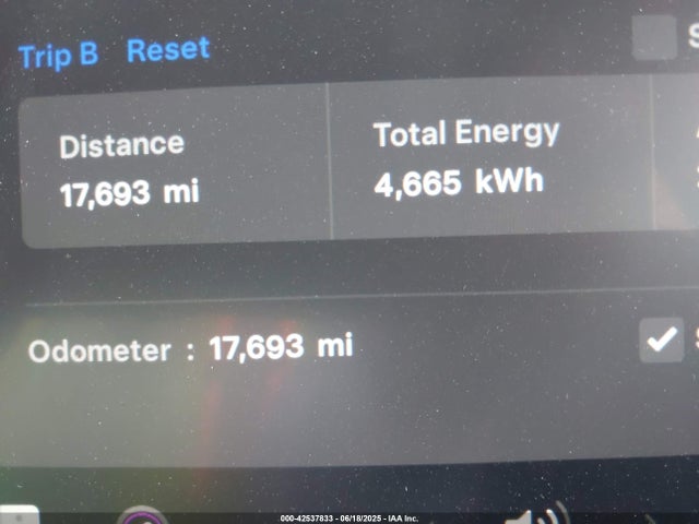 7SAYGDED9RF199553 Tesla 2024