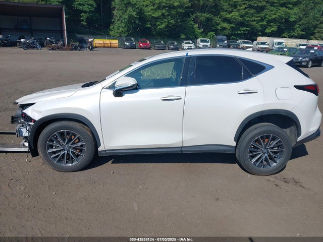 Продаж на аукціоні авто 2024 Lexus Nx 350 Premium, vin: 2T2GGCEZXRC052446, номер лоту: 42538124