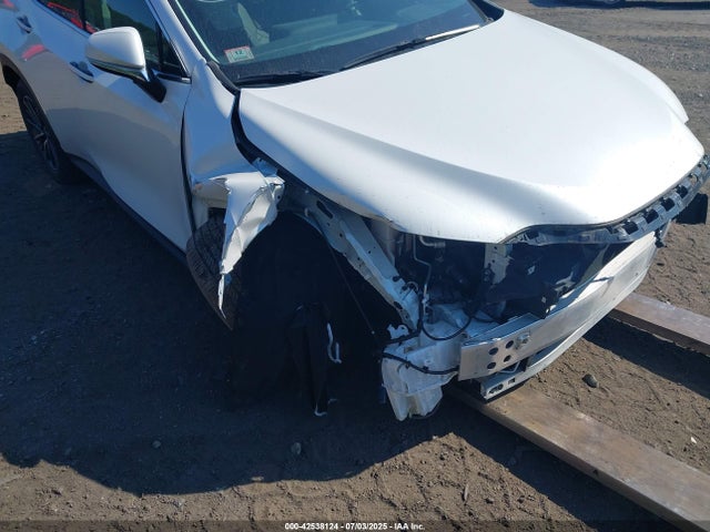 Продаж на аукціоні авто 2024 Lexus Nx 350 Premium, vin: 2T2GGCEZXRC052446, номер лоту: 42538124