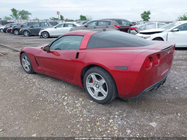 2005 CHEVROLET CORVETTE 1G1YY24U155106156 Photo 2