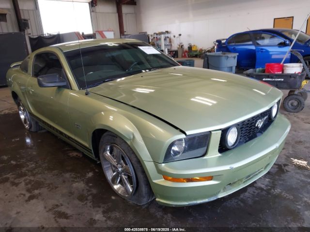 2006 FORD MUSTANG 1ZVFT82H965133741