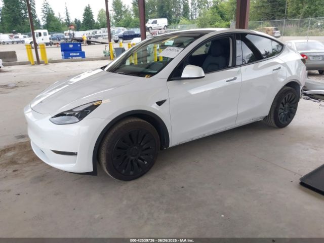 7SAYGDEE8PF828757 Tesla 2023